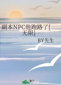 副本NPC他跑路了[无限]