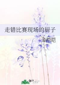 走错比赛现场的厨子