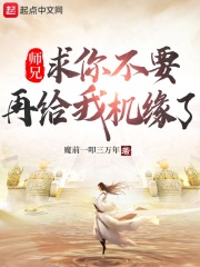 师兄，求你不要再给我机缘了